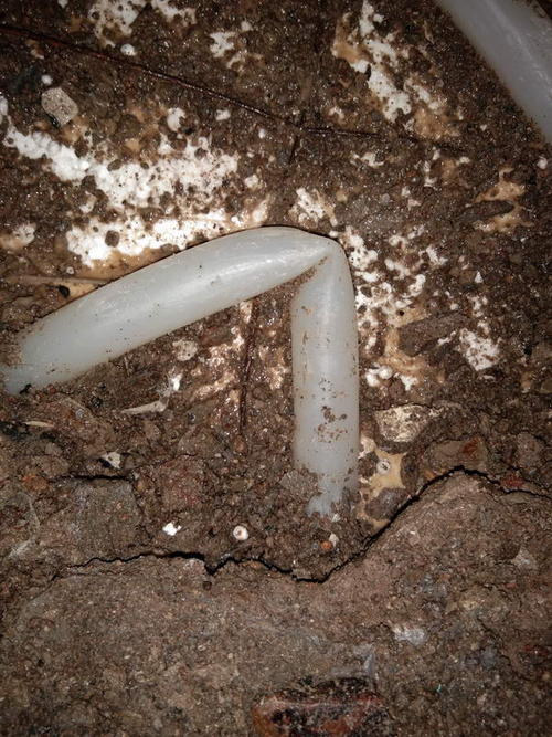 来安堵点精准查找